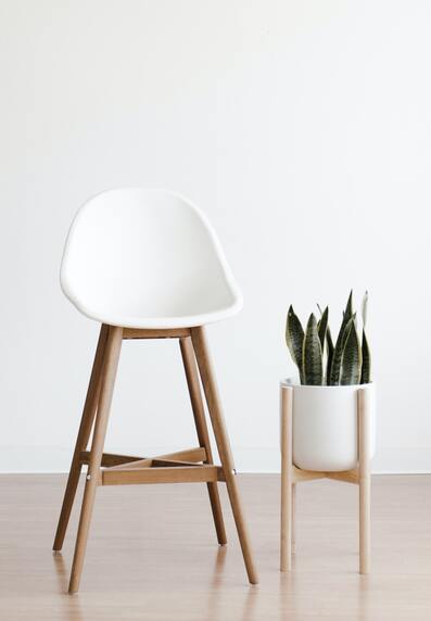 cepillo de bambu